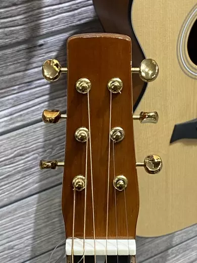 Gold Tone - GT-SM+ 2
